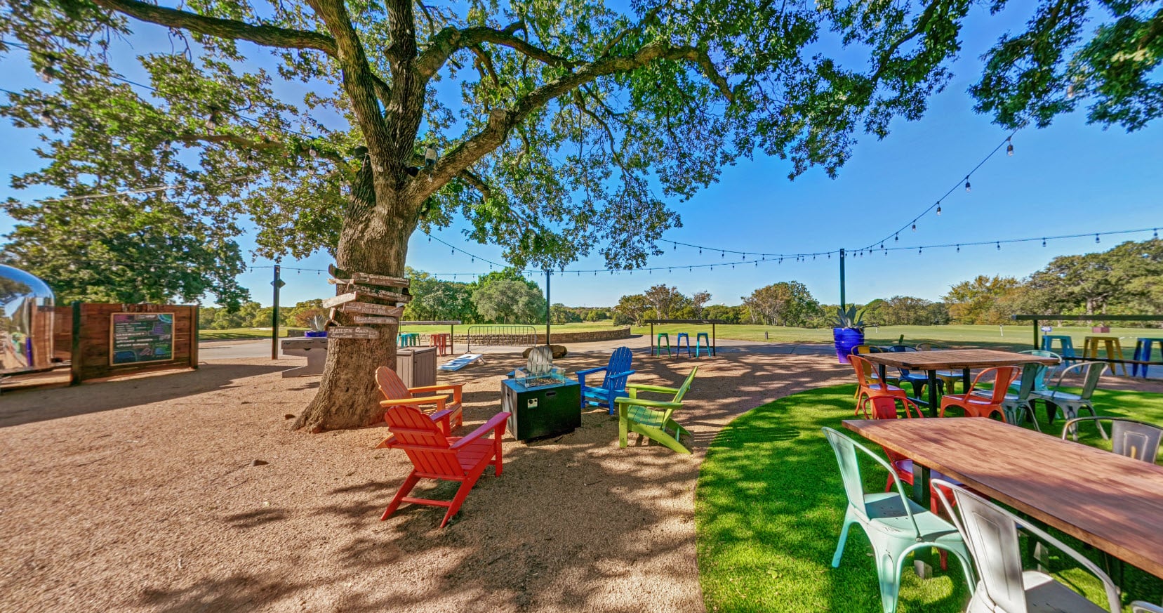 Bear-Creek-The-Backyard